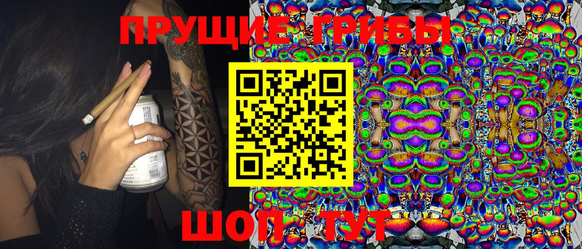 Псилоцибиновые грибы Psilocybe  Вход с VPN  Зеленодольск 