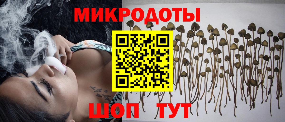 Псилоцибиновые грибы ЛСД Зеленодольск